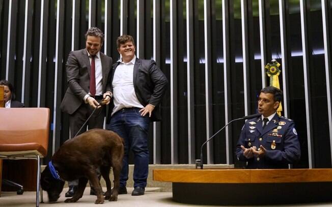 Cachorro foi levado ao plenário em sessão solene pelo Dia Mundial dos Animais