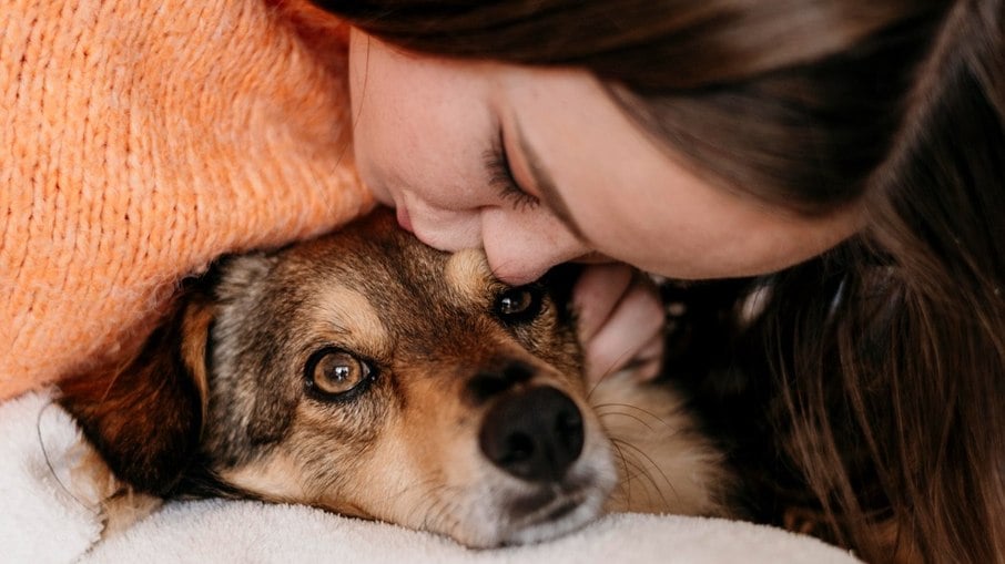 Nenhum tratamento deve ser iniciado sem a orientação de um médico-veterinários capacitado