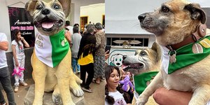 Cidade inaugura estátua em homenagem a cão querido