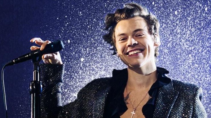 Cantor%20Harry%20Styles%20lan%C3%A7a%20linha%20de%20produtos%20er%C3%B3ticos