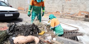 Campinas remove 125 t de lixo de bueiros; saiba como solicitar