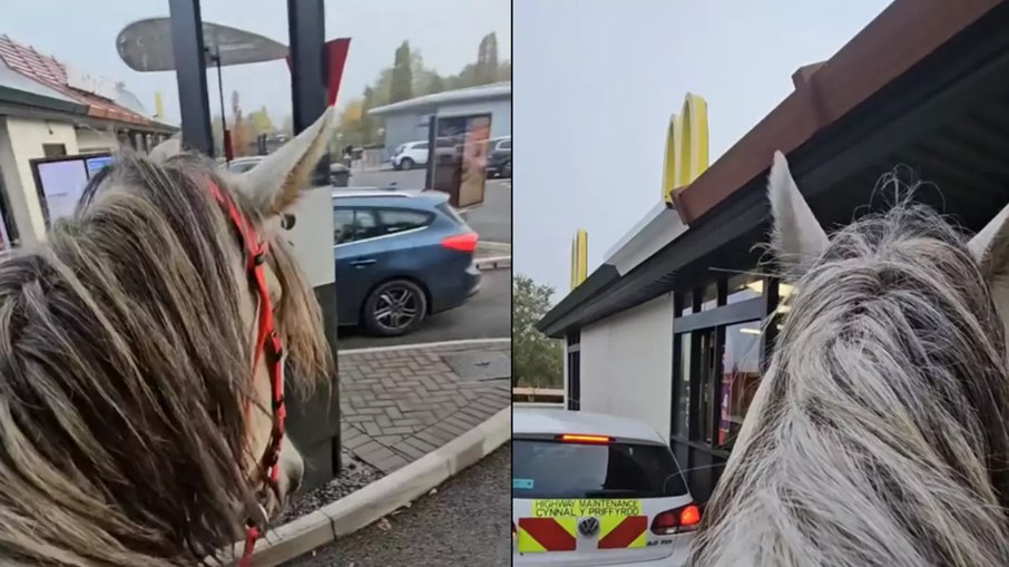 Homem indo ao drive-thru com seu cavalo Iggy Homem indo ao drive-thru com seu cavalo Iggy