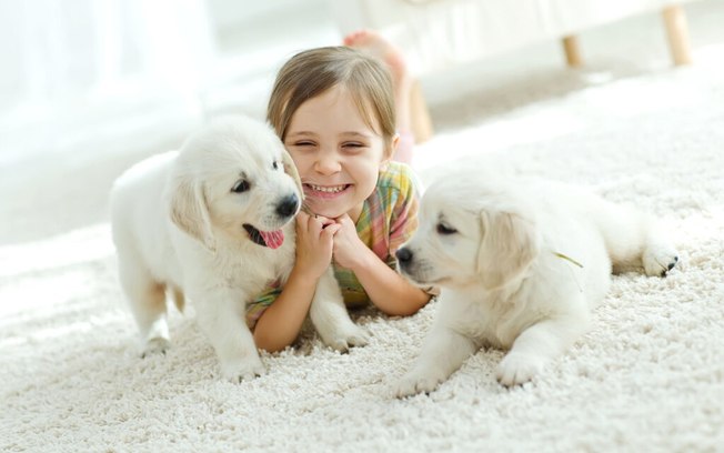 10 cuidados com filhotes de cães nos primeiros dias de vida