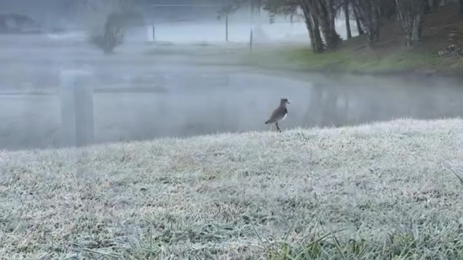 Canela, na serra do Rio Grande do Sul