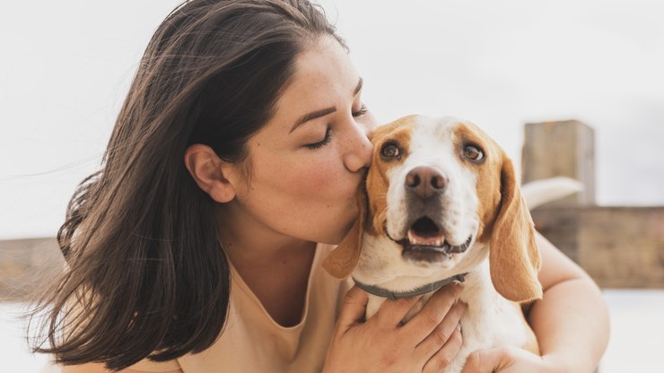 Dia Mundial do Coração: importância dos cuidados com a saúde dos pets
