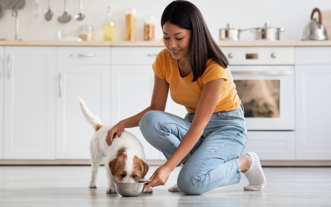 Receitas caseiras de petiscos saudáveis para cães e gatos