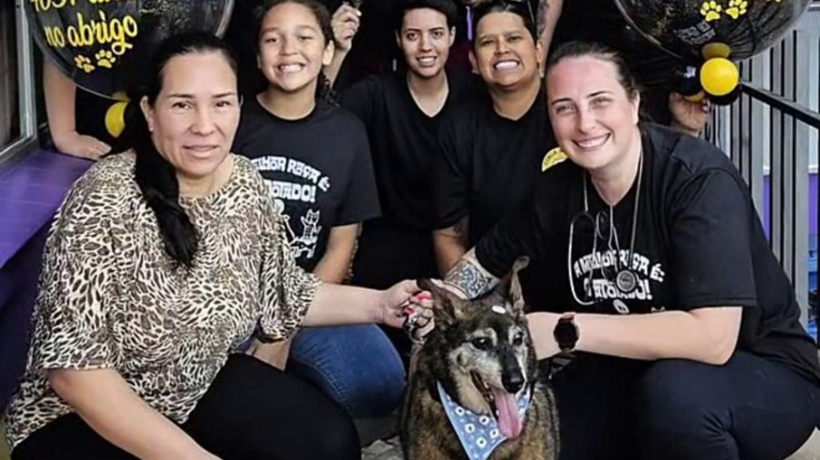 Sheik, cão de 16 anos, enfim encontra um lar após longa espera Sheik, cão de 16 anos, enfim encontra um lar após longa espera