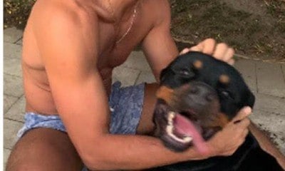 Morte do cachorro de Cauã Reymond é investigada pela polícia