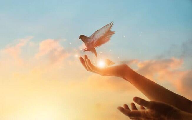 Espiritualidade equilibrada: salmos de paz para uma vida iluminada