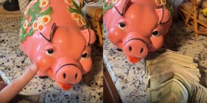 Mulher acha mais de R$ 10 mil em cofrinho comprado em brechó