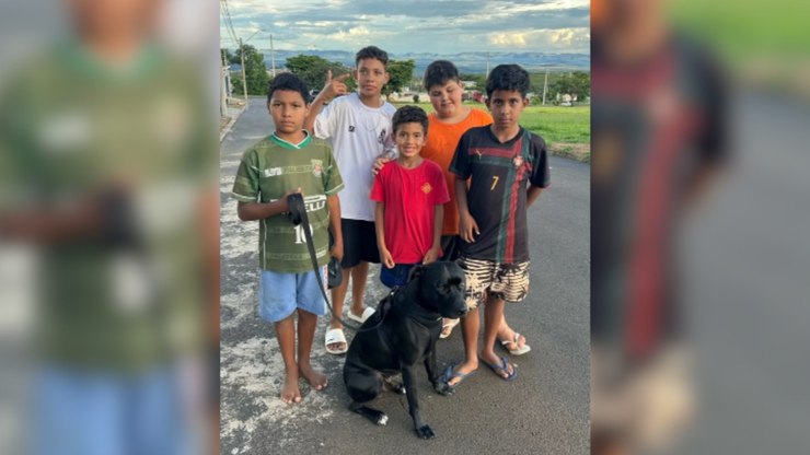 Pitbull famoso é tietado por crianças em visita especial