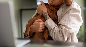 Especialista explica funcionamento de técnica terapêutica em pets