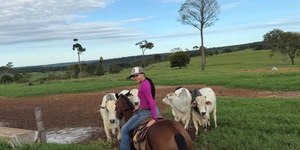 Ana Castela castra animal e diz: "Quem me fizer raiva, já sabe"