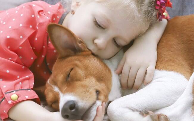 Estudo revelou que terapia assistida por animais ajuda crianças ansiosas em hospitais