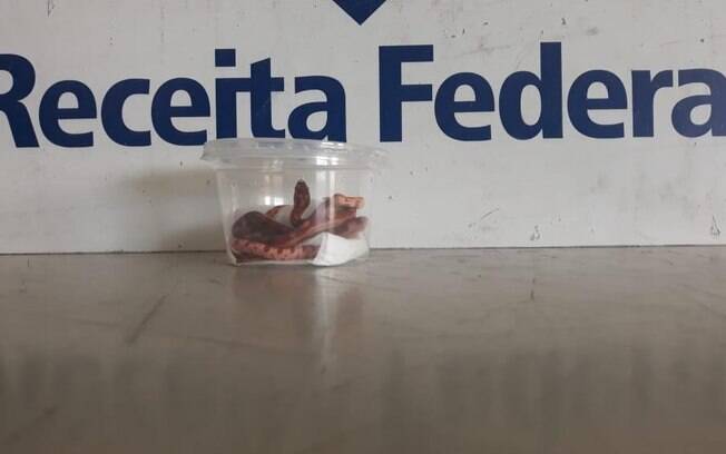 Receita Federal