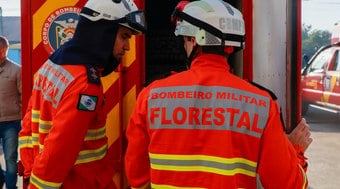Paraná envia bombeiros para ajudar em incêndios no Pantanal