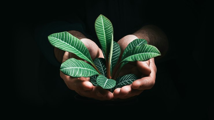 Evento reúne primeiro movimento de líderes sustentáveis do país