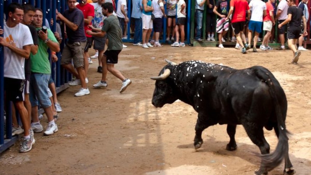 Corrida de touros tradicional na Espanha deixa seis feridos e lota as ruas  de cidade