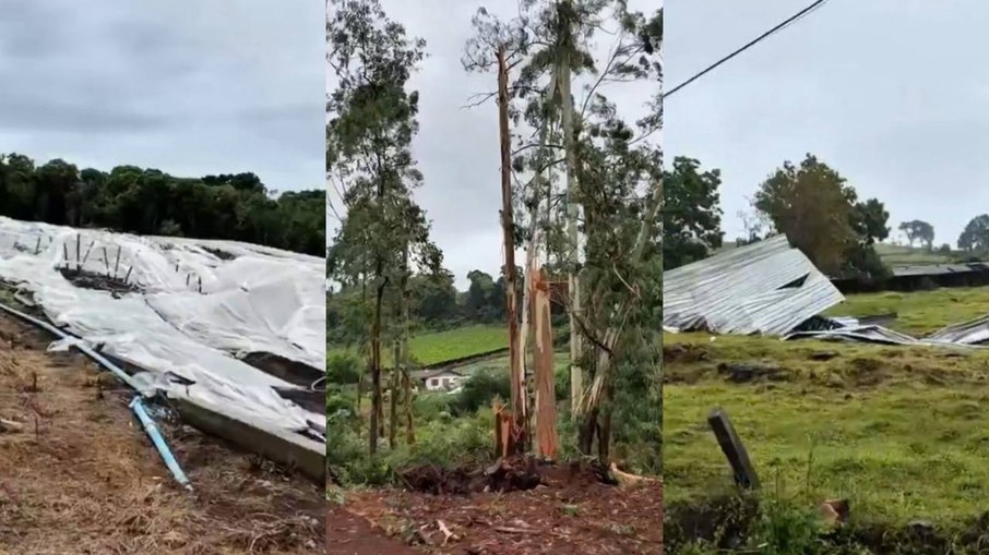  Município de Nova Pádua, na Serra Gaúcha (RS)