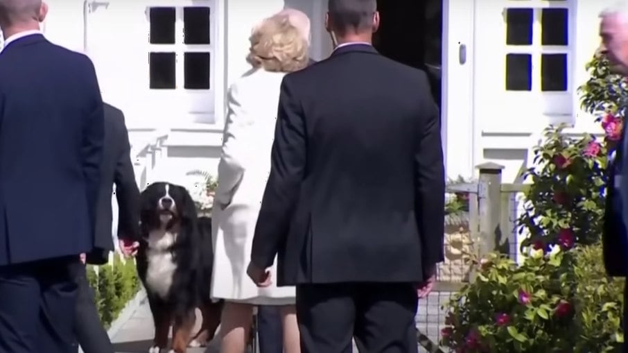 Joe Biden é esnobado por cachorro de Michael Higgins
