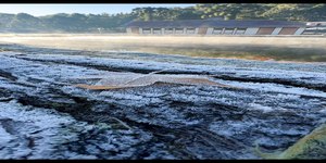 MG registra frio extremo com mínimas de -7°C no Sul do estado