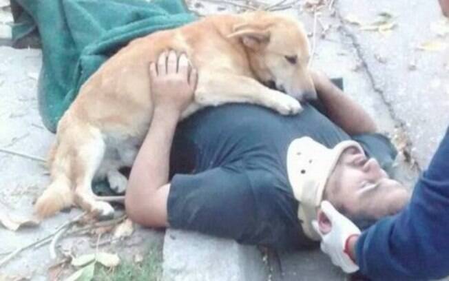 Amor canino: esse cãozinho se recusa a deixar tutor após acidente