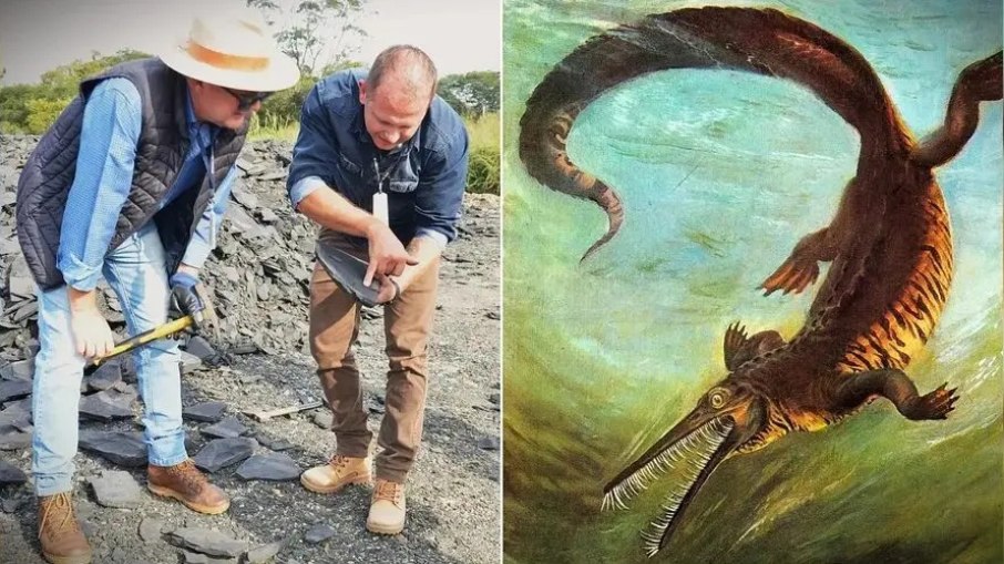 Obra da PR-364 é suspensa após achado de fósseis raros no Paraná Obra da PR-364 é suspensa após achado de fósseis raros no Paraná