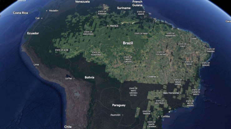 Google vai ajudar a fiscalização do desmatamento no país