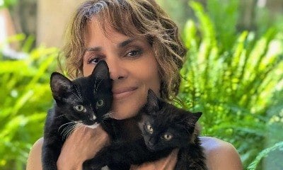 Atriz Halle Berry adota gatos e diz que se tornou amante dos felinos