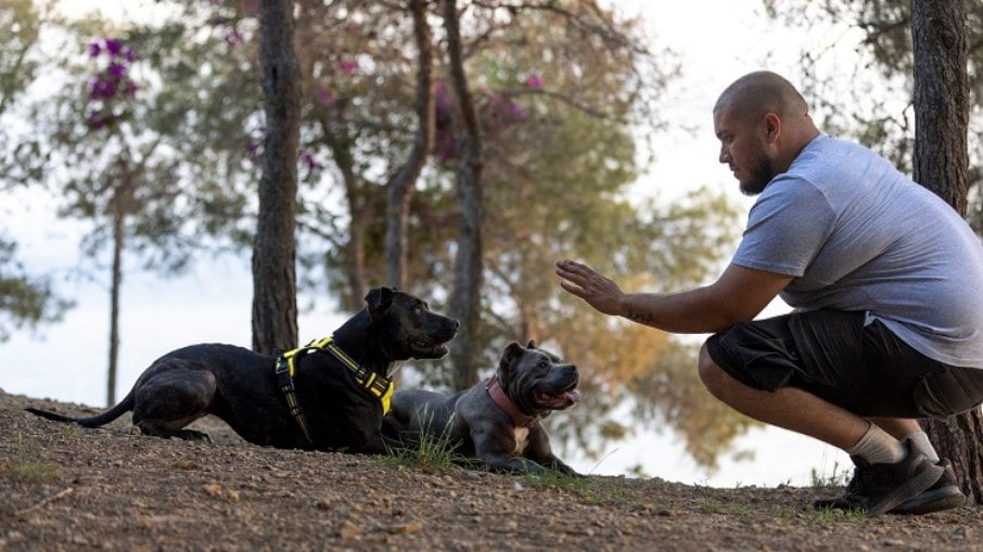 Mesmo seguindo uma mesma base, cada treinamento deve ser adaptado às necessidade de cada cão