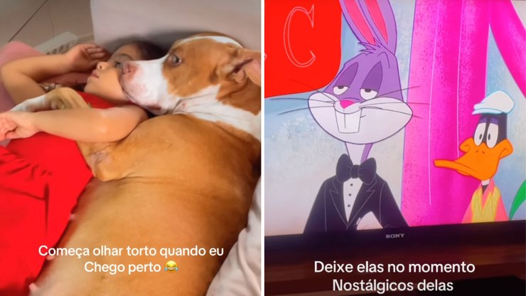 Pitbull encanta ao assistir Looney Tunes de conchinha com criança