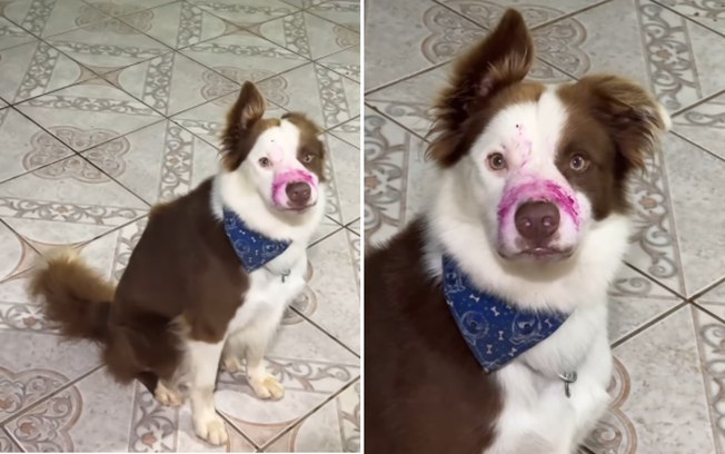 A0pg77omex4wyen0j6lbwbd32