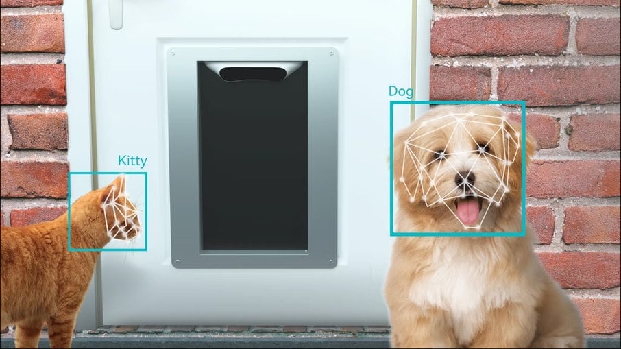 Porta para pets tem reconhecimento facial