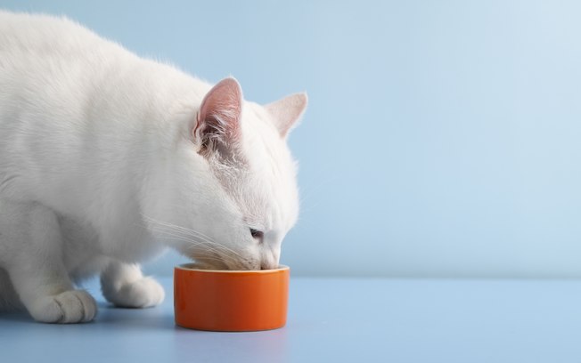 A0ynpe7ybvqvvq5kzye6pmz2l