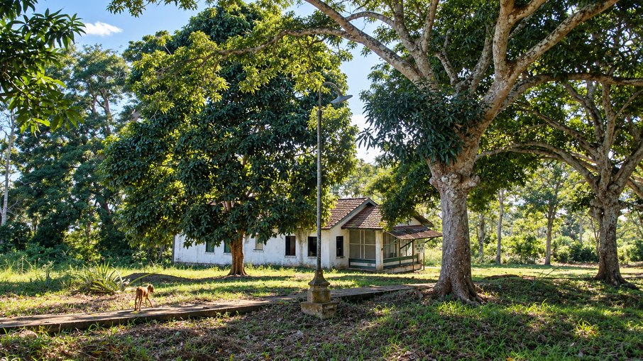 Atualmente, Fordlândia tem cerca de 1500 moradores e a maior parte da infraestrutura está abandonada