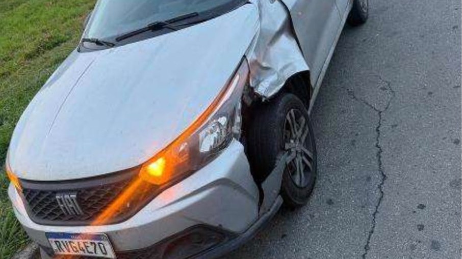 Vítima foi atingida por um carro que seguia pela rodovia Vítima foi atingida por um carro que seguia pela rodovia