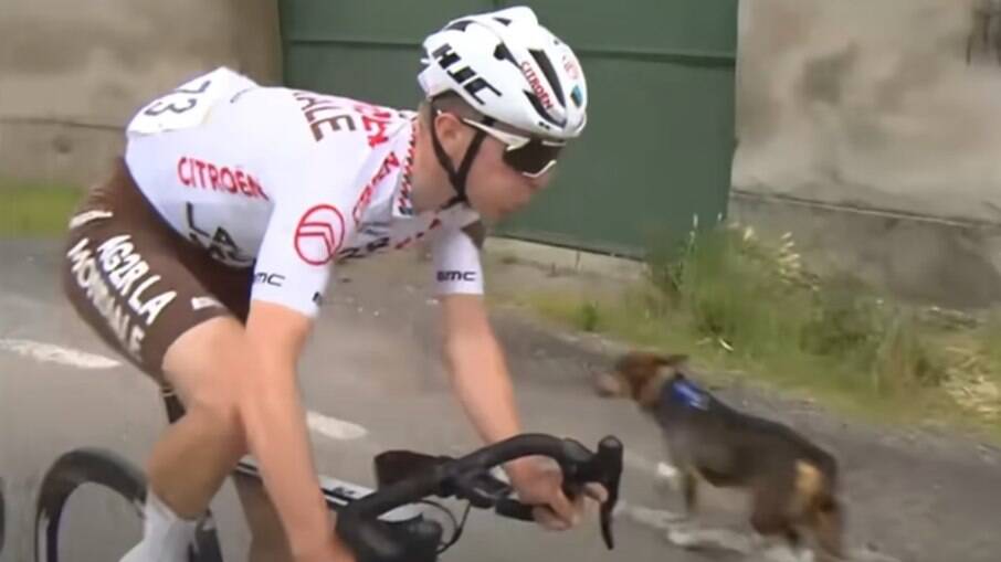 Cachorro causa acidente durante prova de ciclismo na Itália