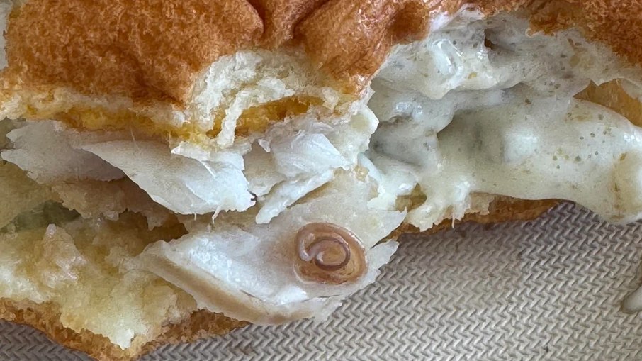 Cliente publicou foto do que afirma ser uma “minhoca” encontrada dentro de um sanduíche Filet-O-Fish do McDonald’s