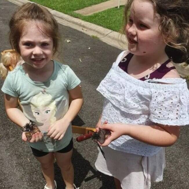meninas
