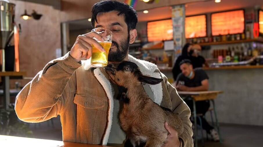 Farhan Saeed, 29, passou a levar sua pequena cabra, Gemma, ao bar com ele