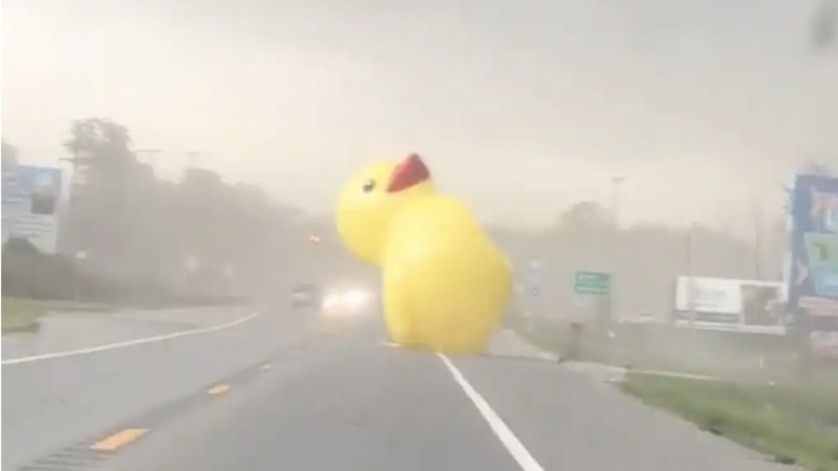 Pato inflável surpreendeu motoristas em estrada dos EUA