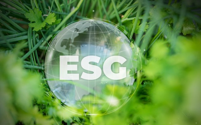 Greenwashing: entenda o que é e como combatê-lo