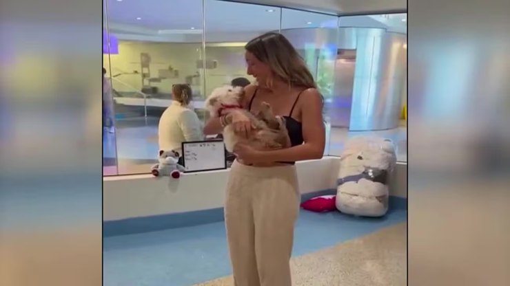 Cachorrinha%20dada%20como%20morta%20%C3%A9%20reencontrada%20ap%C3%B3s%204%20anos