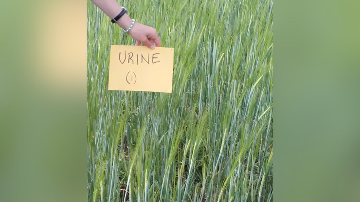 Senado aprova plano para fabricação de fertilizantes no Brasil