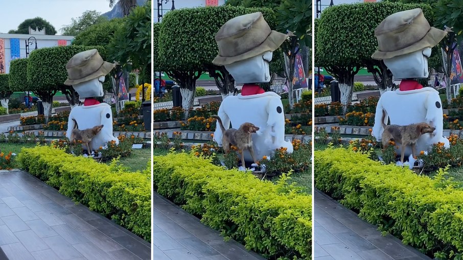 Cachorro destrói boneco decorativo em praça no México 