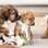 Casamento de Andee e Tina com cachorros em vez de flores. Foto: Facebook/ Cami Zi Photography
