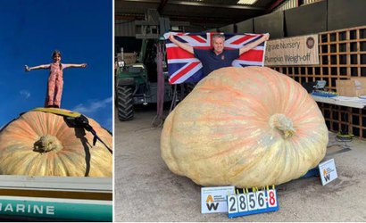 Abóbora gigante pesa mais que rinoceronte e conquista recorde mundial