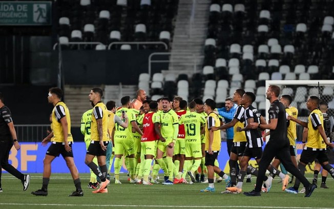 Botafogo e Palmeiras vão medir forças na Libertadores