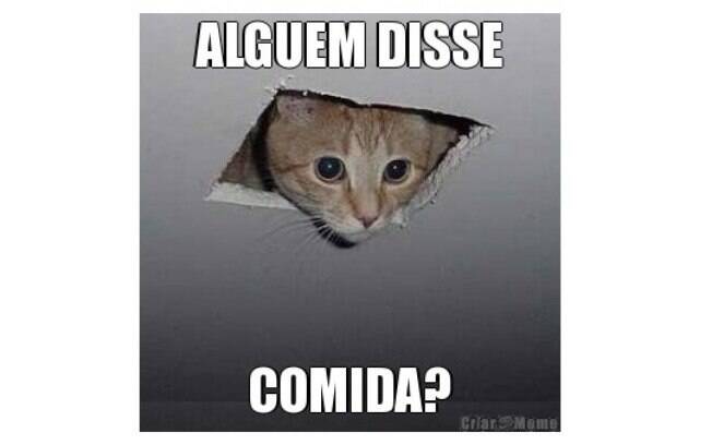 Os memes de cada signo