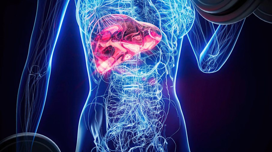 Fígado